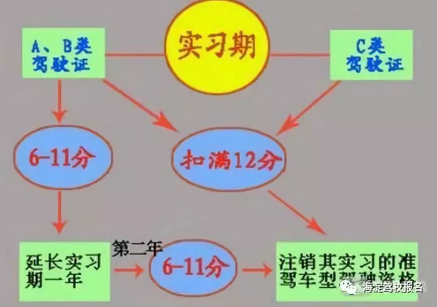 C1驾驶证实习期被扣了11分,有什么影响?